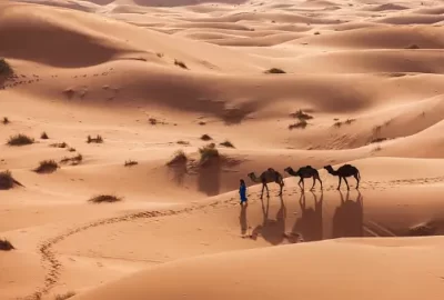 Marrakech Tours al Desierto