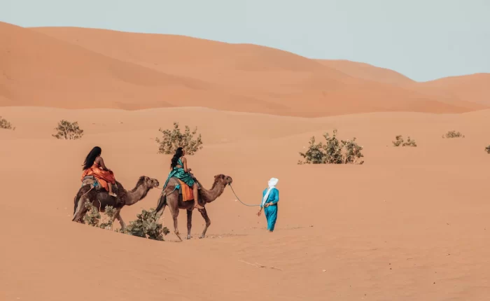 Viaje De 8 Dias Desde Marrakech